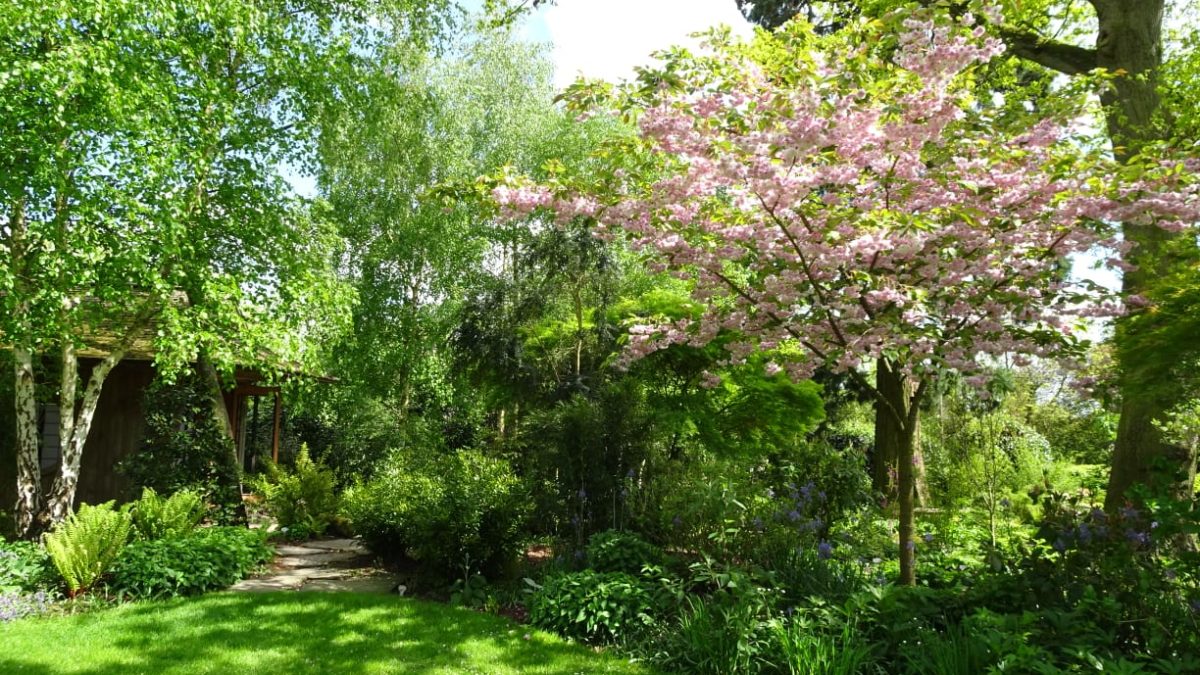 Cottage Garten in der Nähe von Evesham